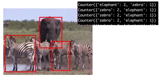 Image recognition with bounding boxes and JSON console overlay