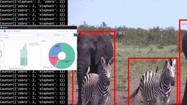 Animation showing elephant object detection plus the Kibana dashboards