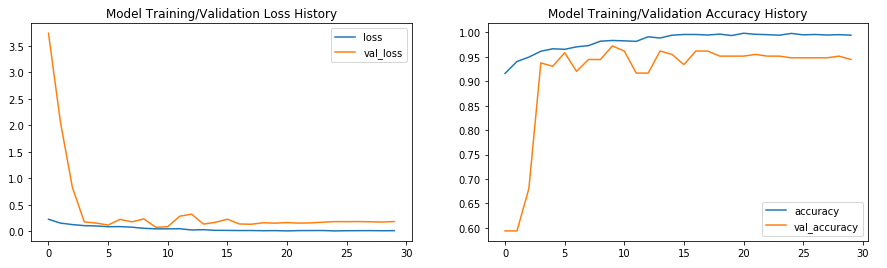 EfficientNet-B0_Training History