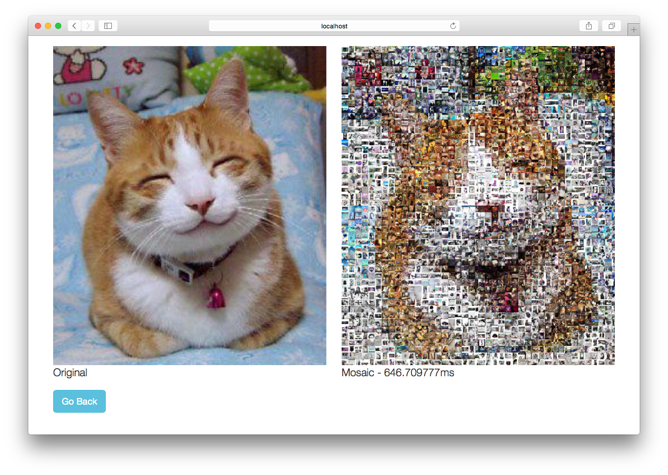 Figure 4 – Photo mosaic web application with concurrency
