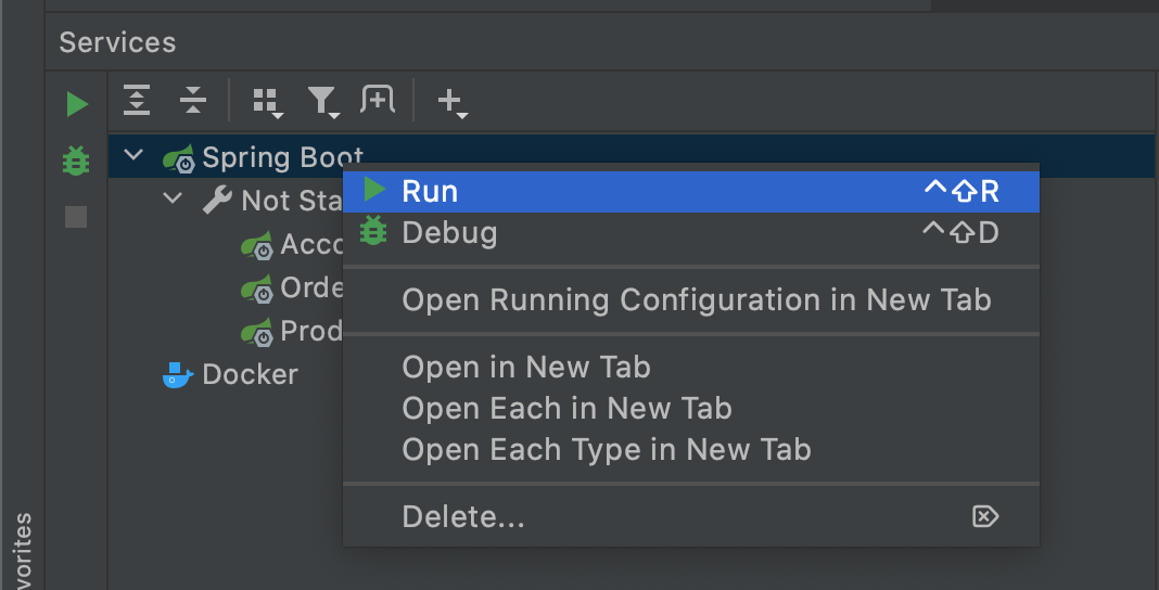 IntelliJ run