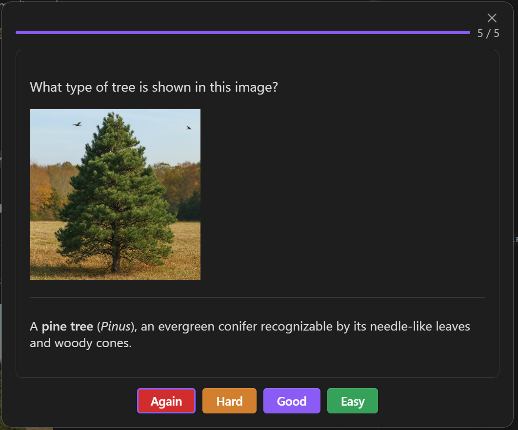 Flashcard Answer