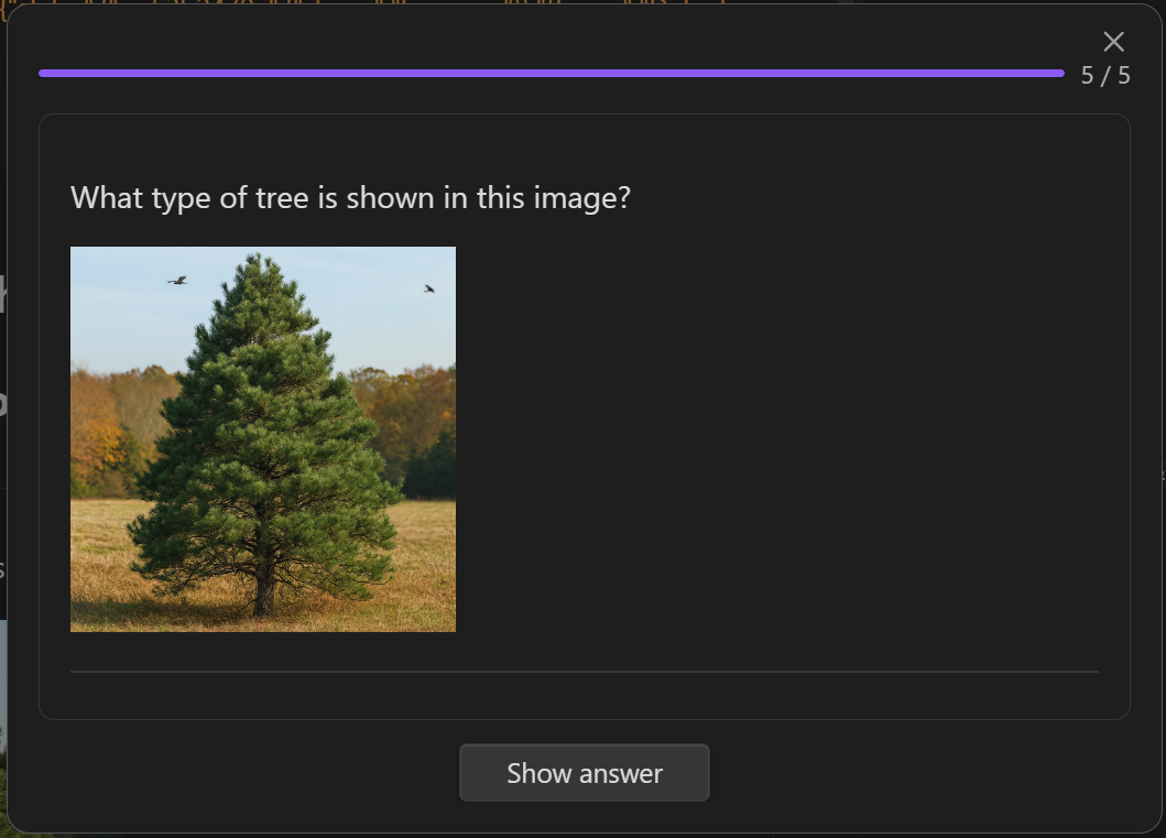Flashcard Question