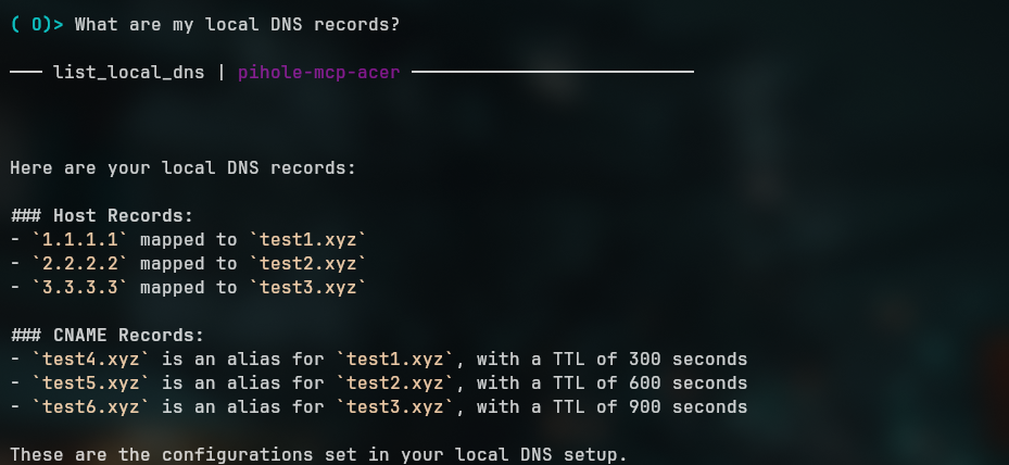 Screenshot of local DNS tool