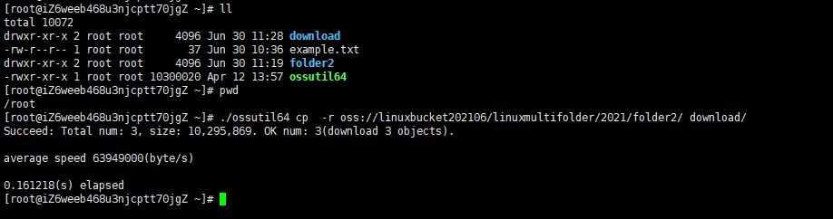 Linux download file 