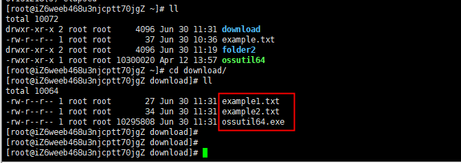 Linux download file 