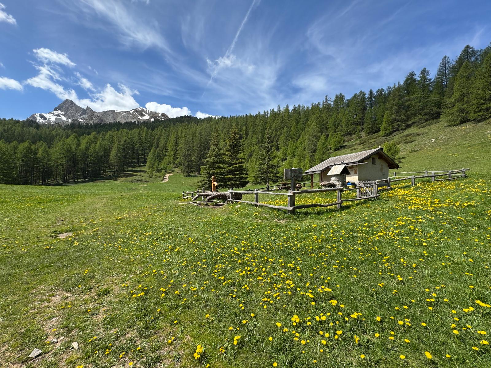 Cabane du Clot l'Henry dans sa clairière fleurie avec vue sur les sommets enneigés