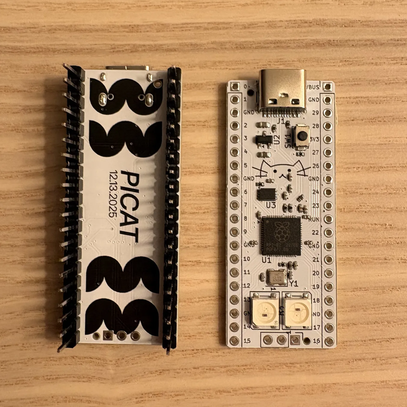 PiCat, from the project README