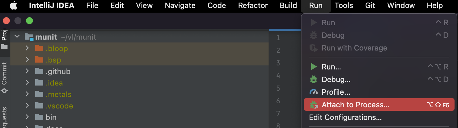 Attach to the process