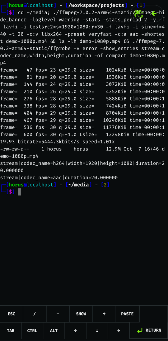 ffmpeg encoding 1080p video in the Horus shell