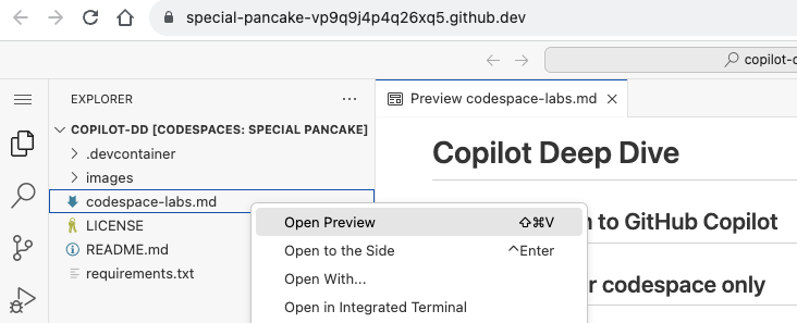 Labs doc preview in codespace