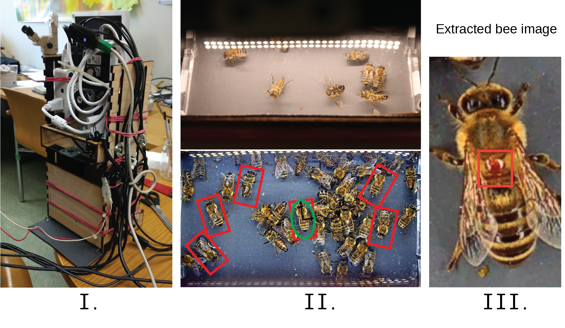 Dataset creation process