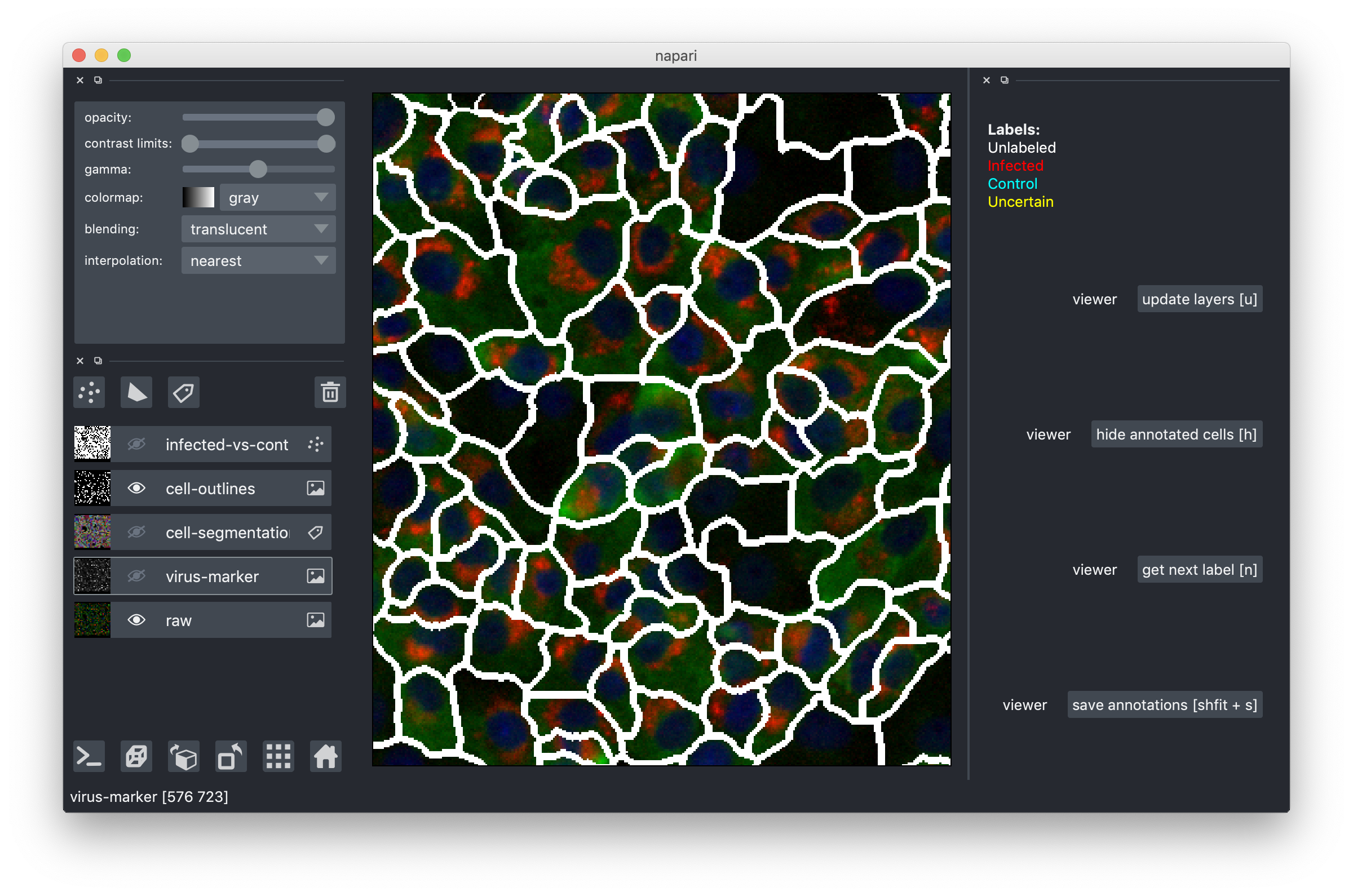 Cell Outlines