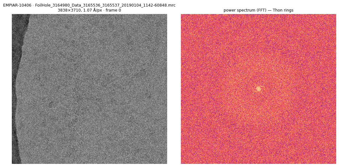 A motion-corrected 70S-ribosome micrograph (EMPIAR-10406) and its power spectrum, rendered by se.preview(10406)