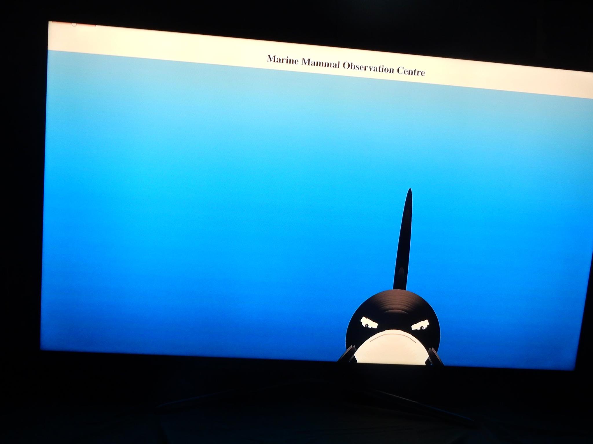 Orca on a TV!