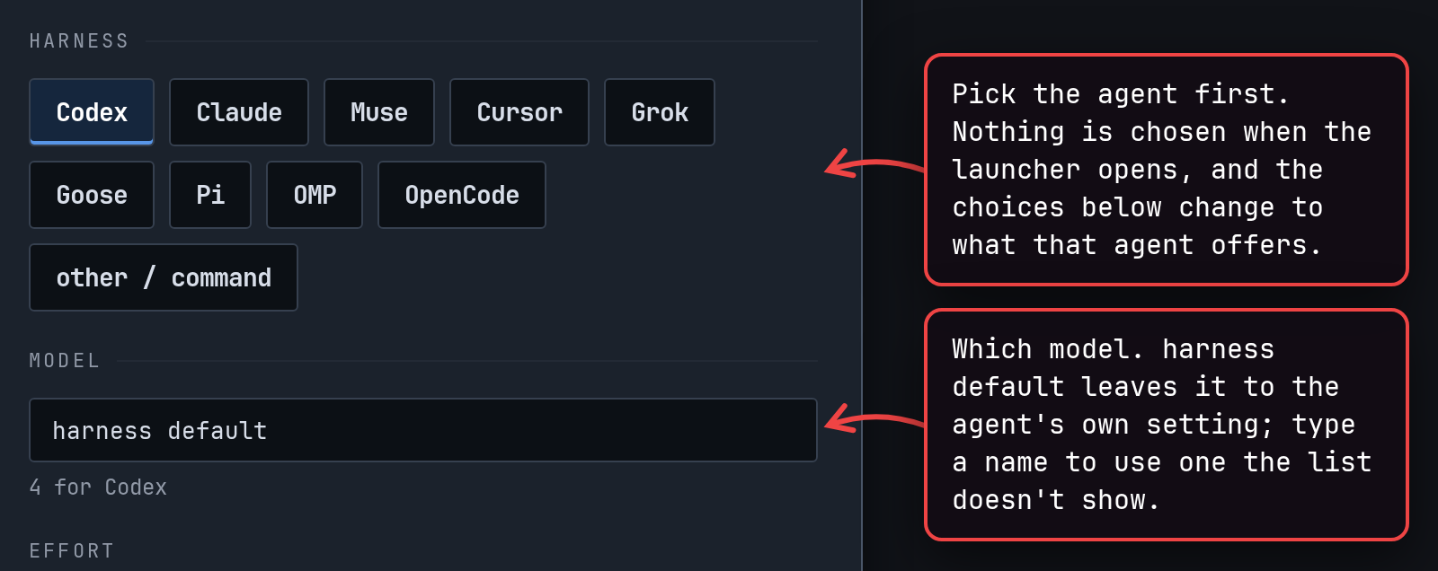 The harness buttons with Codex chosen, and the model choice under them, both explained.