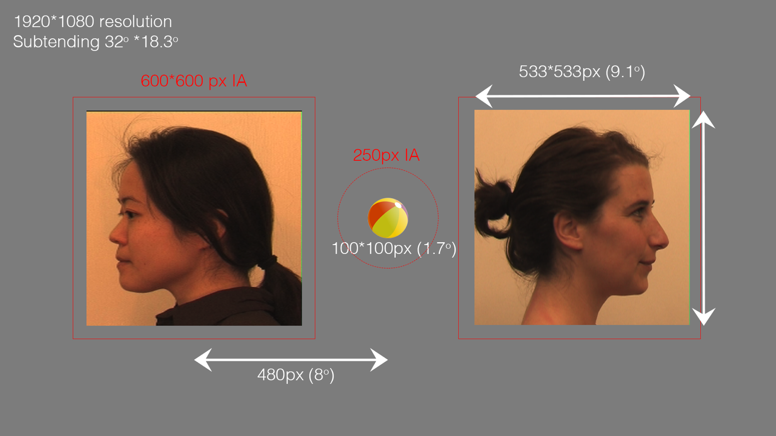 Image of the FSP task, showing the stimuli and interest areas