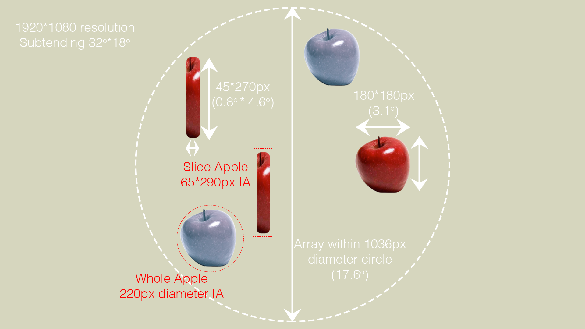 Image of Visual Search task, showing the stimuli and interest areas