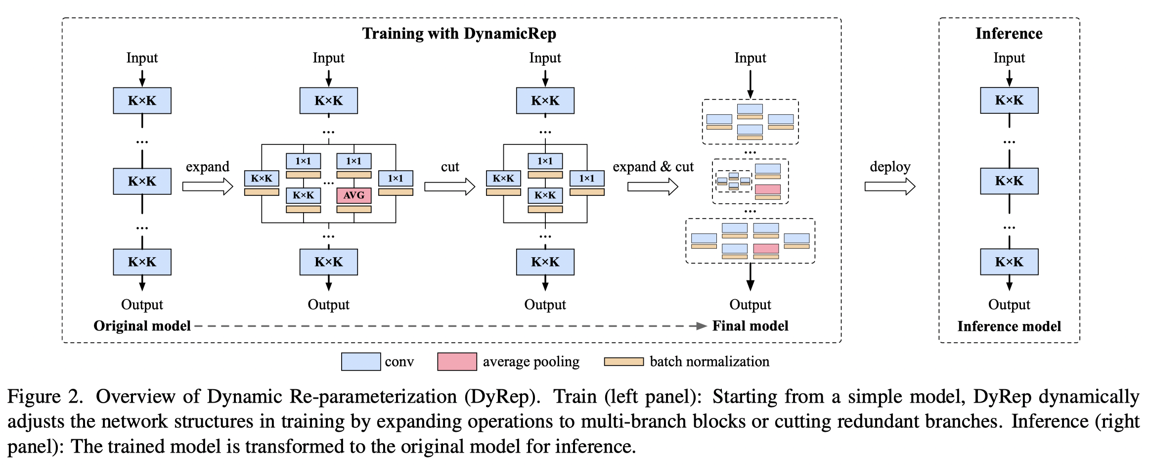 DyRep Framework