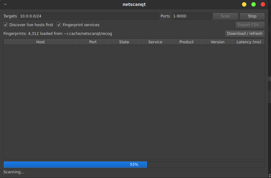netscanqt GUI mid-scan, the progress bar relabeling across the discovery, scan, and fingerprint phases