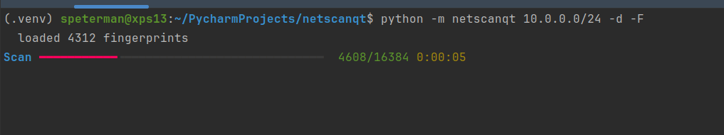 netscanqt discovering and scanning a /24 from the command line, with a live phased progress bar