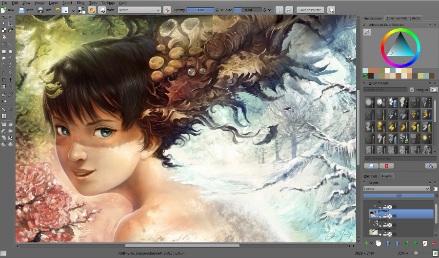 Painting with Krita. Courtesy of David Revoy, CC-By-Sa