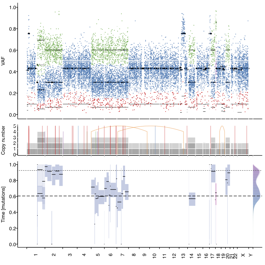 MutationTime.R output