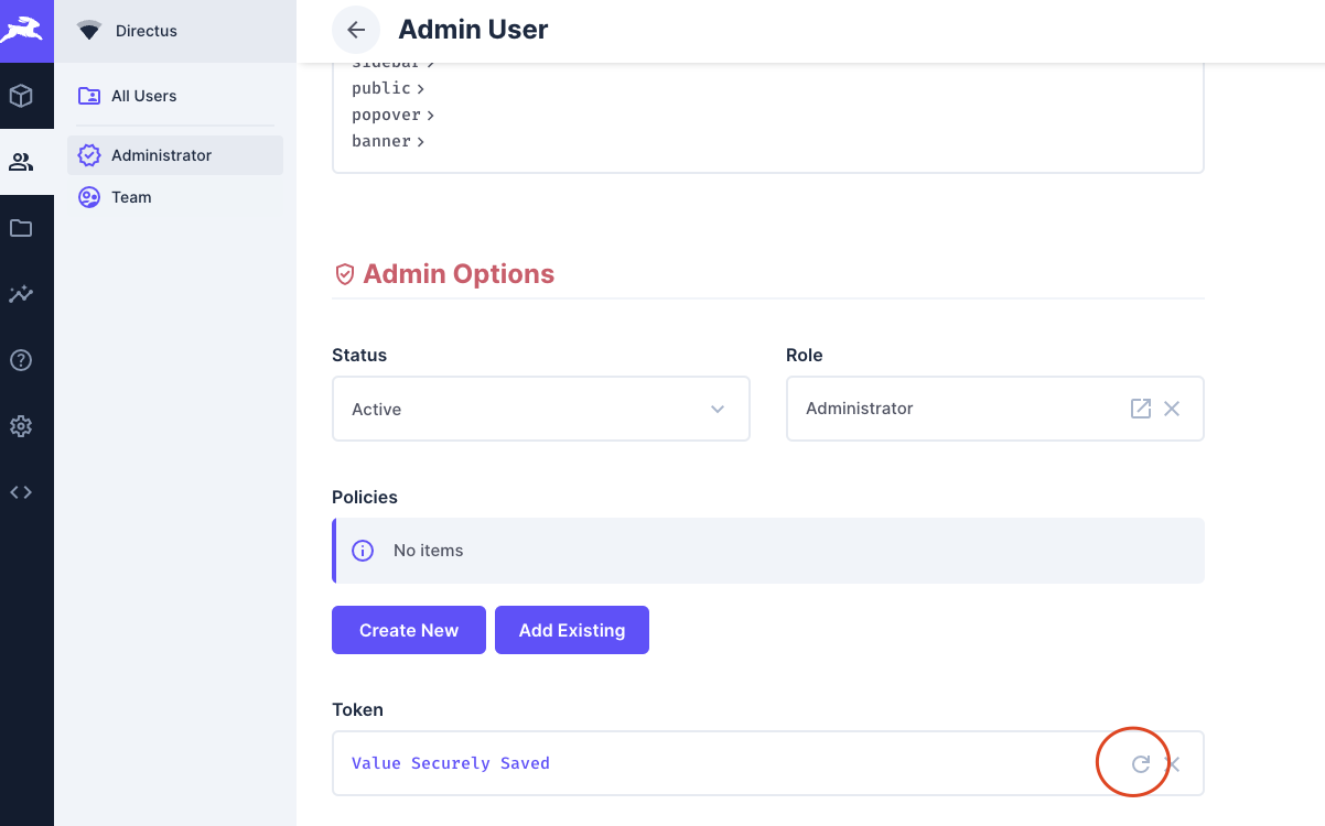 Directus Admin Token