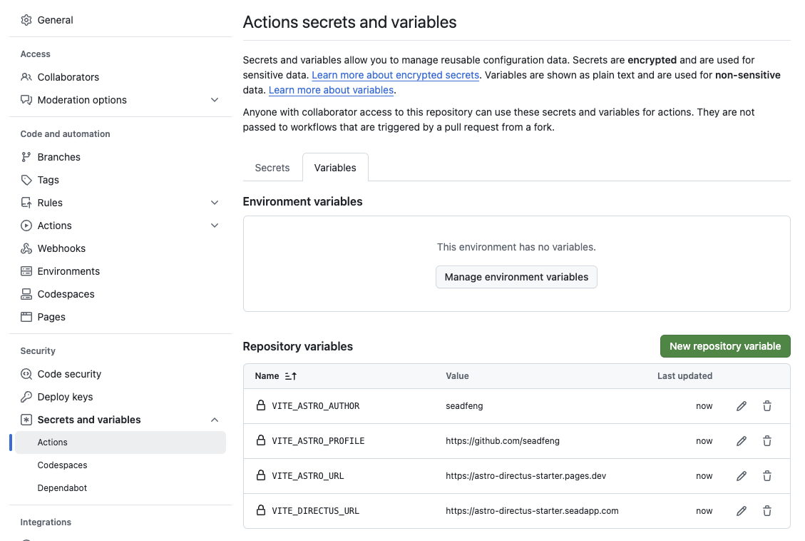 Repository variables