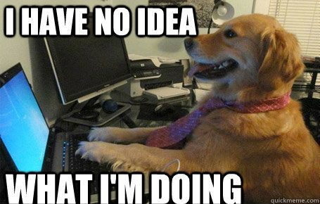 I have no idea what I'm doing.