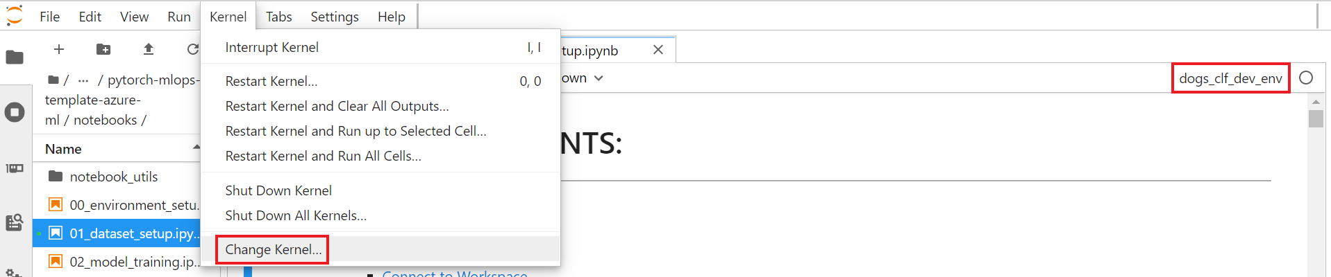 dataset_notebook_kernel