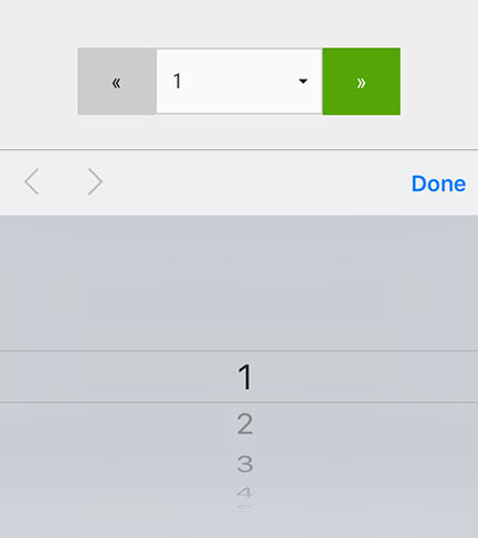 Pagination on Smart Phone