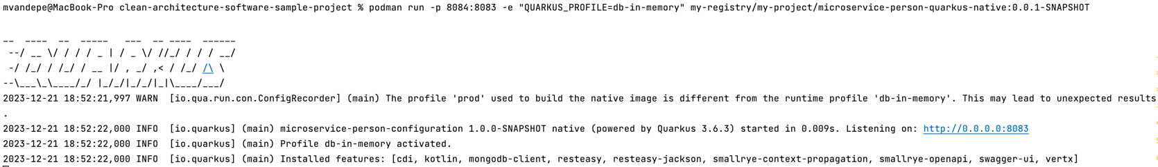 Clean Architecture - Quarkus native startup