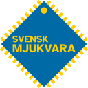 Putting the SE in Software Engineering