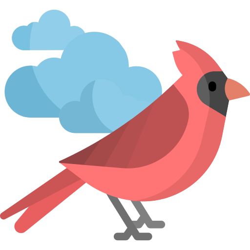 Cardinal Media Server