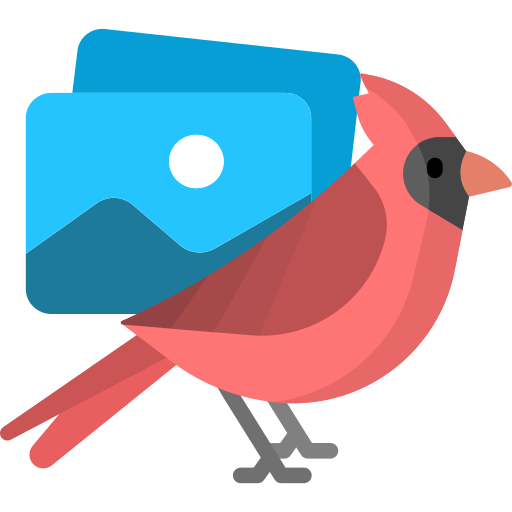Cardinal Photos