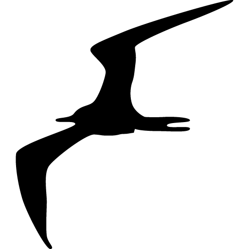Frigate