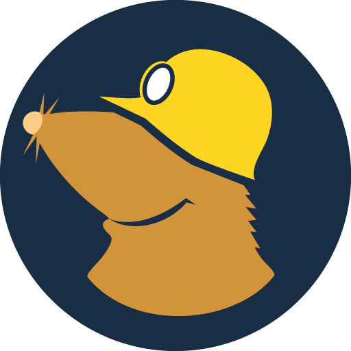 Mullvad VPN