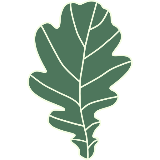Oak (Identity)