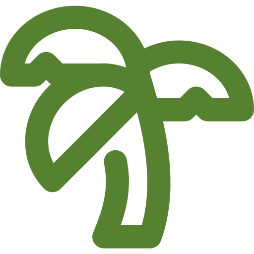 Palmr