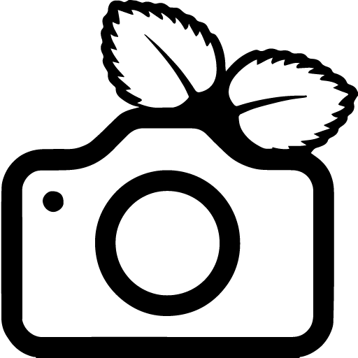 PiGallery2