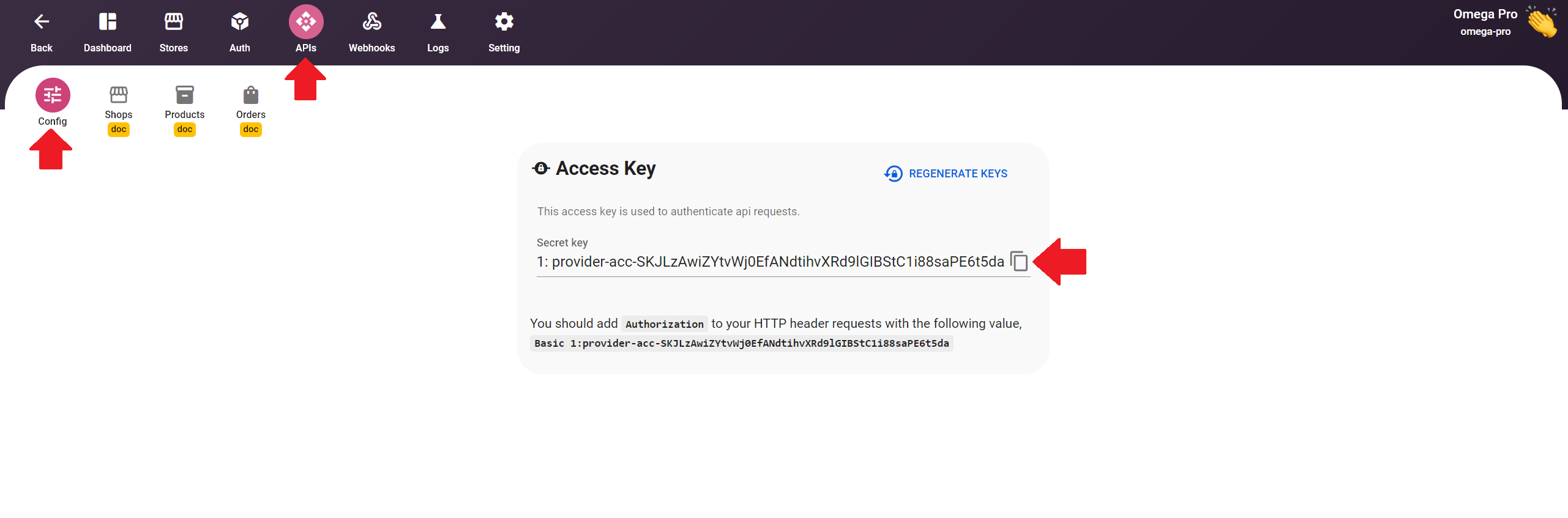 API key