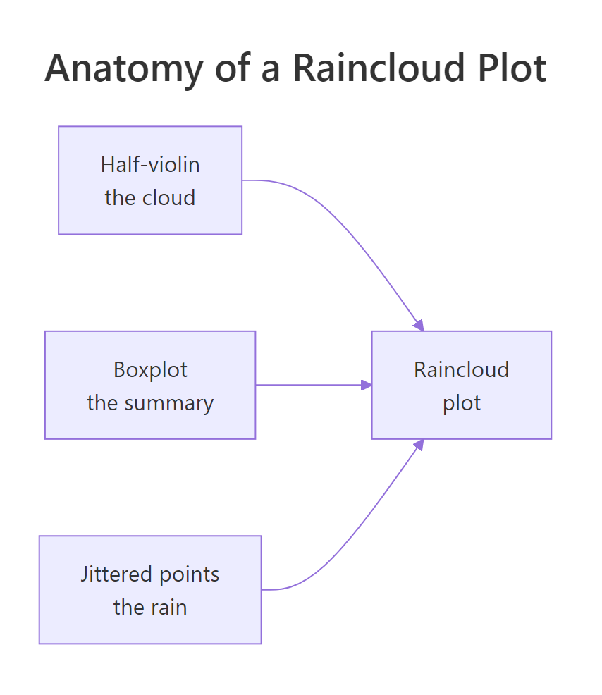 Anatomy of a raincloud plot