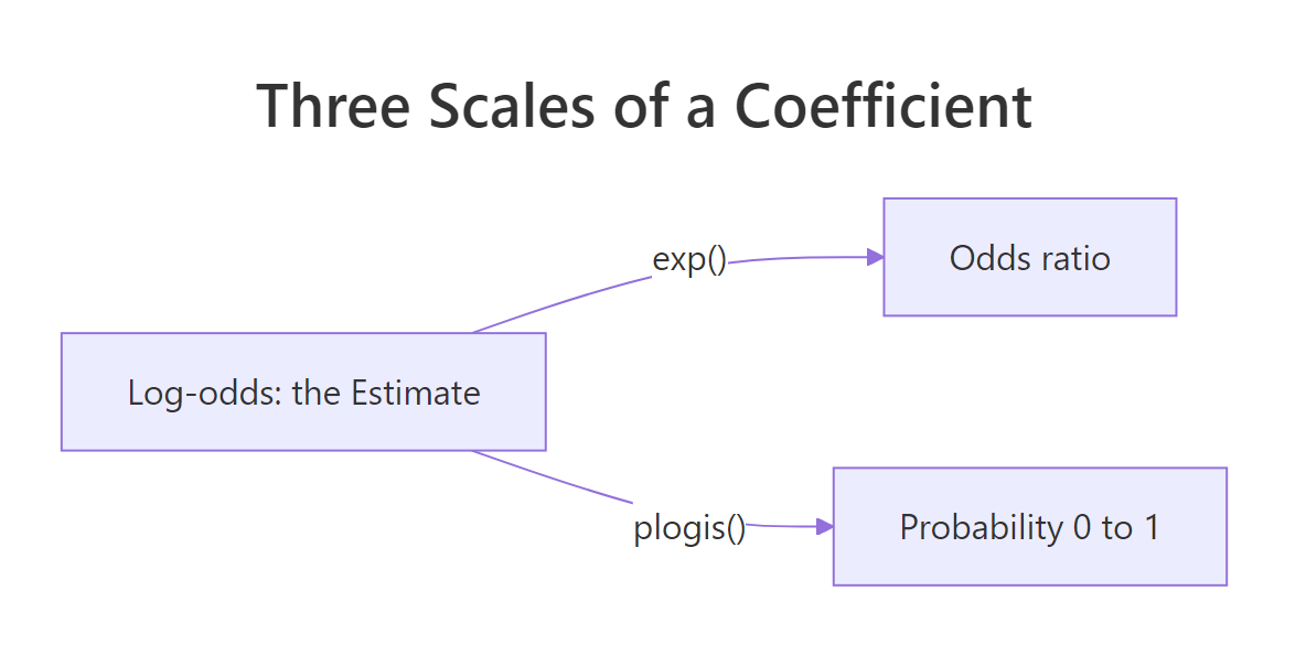 A logistic coefficient lives on three scales, running from log-odds to odds to probability.