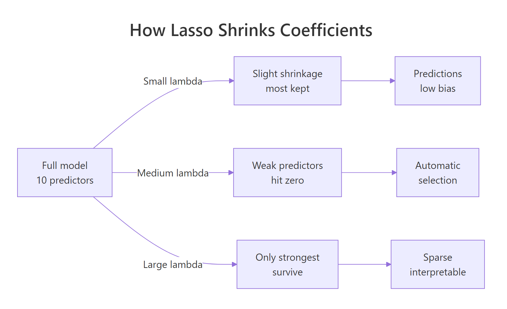 How Lasso's L1 penalty shrinks weak coefficients to exactly zero.