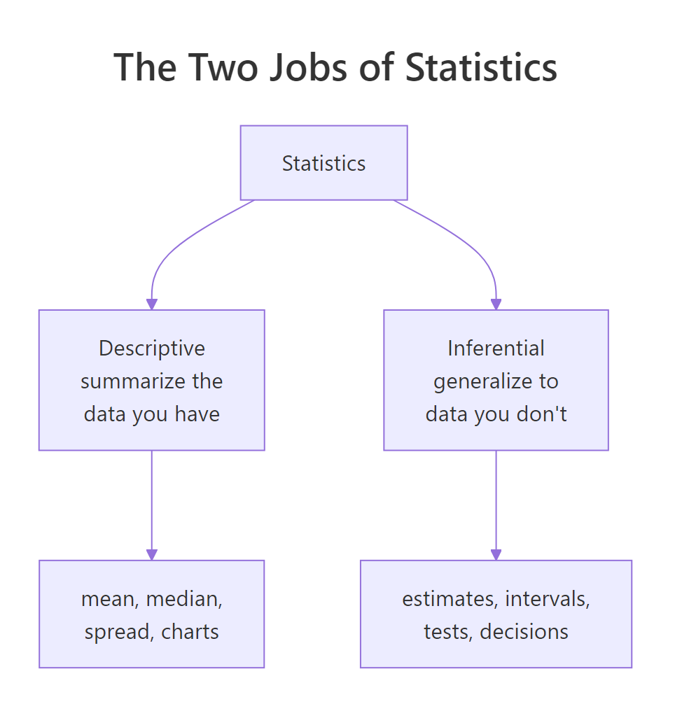Diagram splitting statistics into a descriptive branch that summarizes data and an inferential branch that generalizes to a population