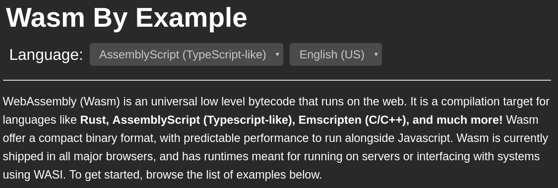 Wasm By Example Website Header