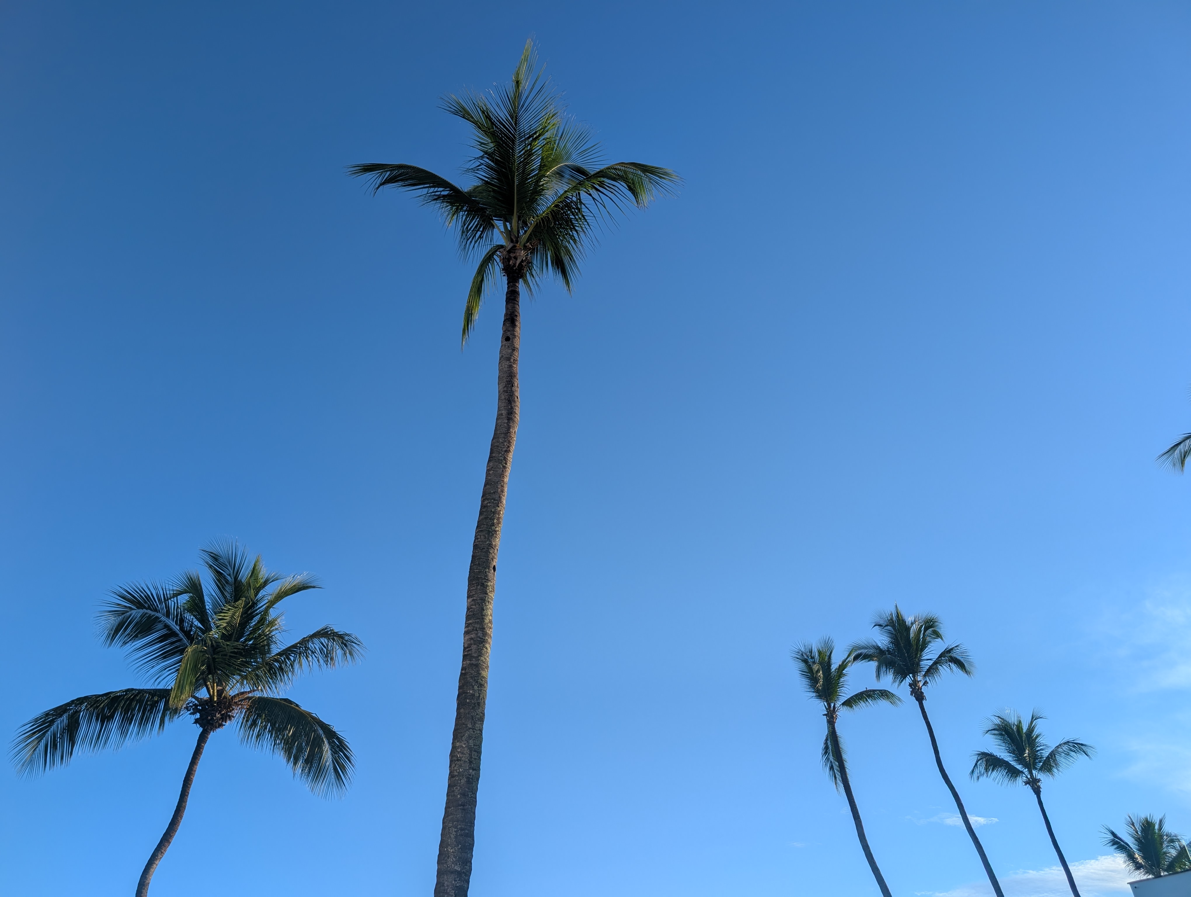 Puerto Plata digital marketing — Eye To Ad Media