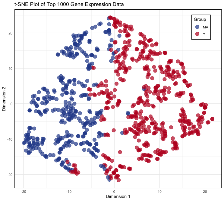 tSNE