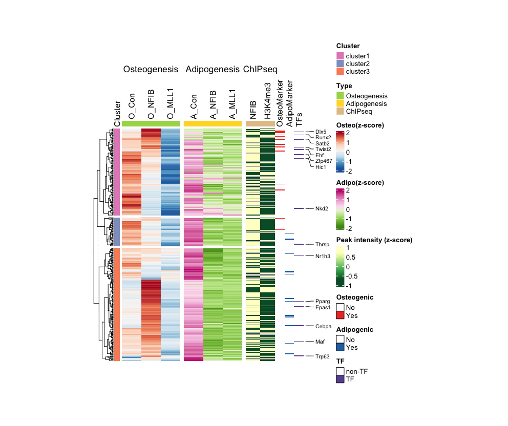 DEG - Heatmap | Sequencing Portfolio